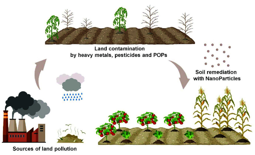 Nanoparticle injection binding to contaminant particles in soil